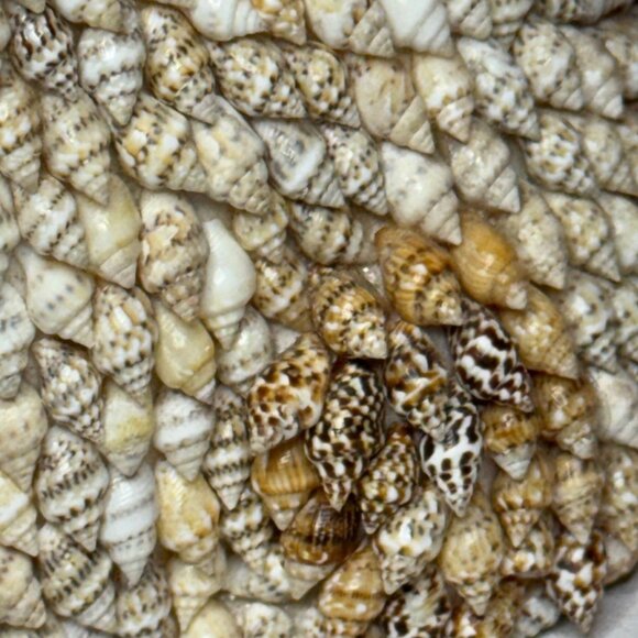 Vintage Seashell Encrusted Rabbit Figurine Souvenir Folk Art - Picture 8 of 8